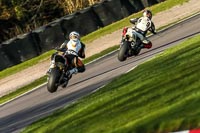 Oulton-Park-20th-March-2020;PJ-Motorsport-Photography-2020;anglesey;brands-hatch;cadwell-park;croft;donington-park;enduro-digital-images;event-digital-images;eventdigitalimages;mallory;no-limits;oulton-park;peter-wileman-photography;racing-digital-images;silverstone;snetterton;trackday-digital-images;trackday-photos;vmcc-banbury-run;welsh-2-day-enduro